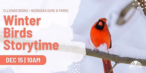 Winter Birds Storytime