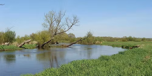 May Small Biz Networking Lunch