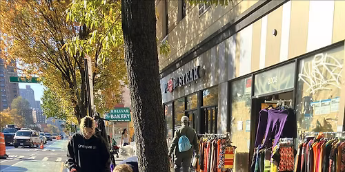 Street Tree Care w\/ Flatbush Branch Library