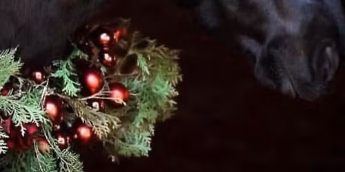 The Christmas Stable workshop 