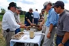 Food Partnerships - a future for East Kent?