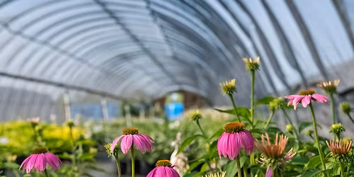 Siebenthaler's Fundraiser for SICSA