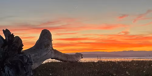 Oldbury On Severn 4-6 mile, double pub, Sunset Walk (14\/03\/26)