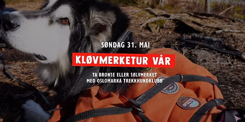 OMTK Kl\u00f8vmerketur V\u00e5r - Bronse & S\u00f8lv - \u00d8stmarka