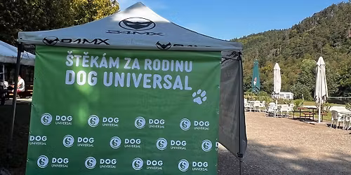 22. V\u00edkendovka