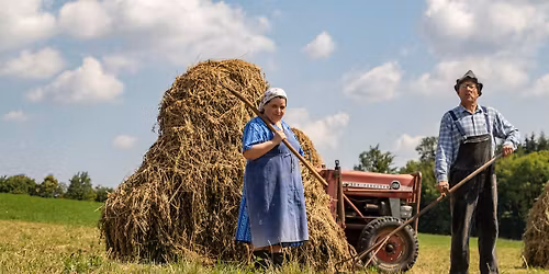  Hillus Herzdropfa - Dr\u00b4 normale Wahnsinn! | Hechingen