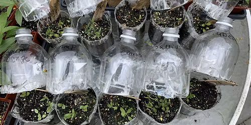 Winter Sowing at Wakeman Town Farm