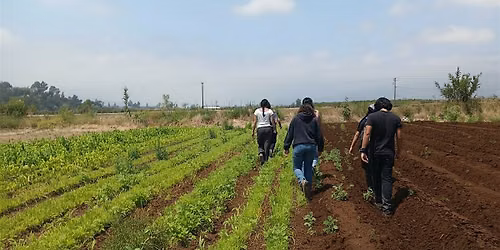 Meet the Farmers: Farm Tour & Saticoy Food Hub Showcase