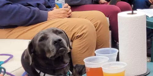 Holiday Yappy Hour @ Libations Tavern