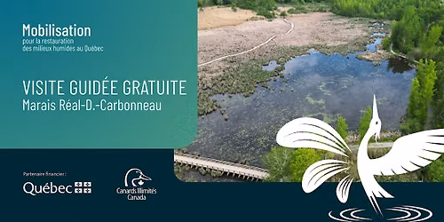 Visite guid\u00e9e gratuite d\u2019un milieu humide restaur\u00e9