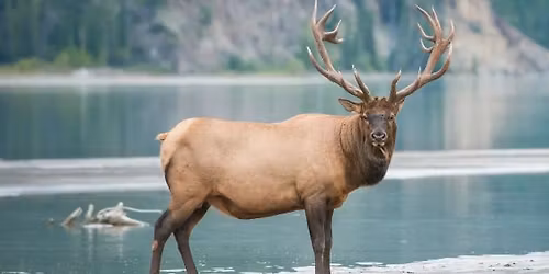 Black Friday & Small Business Saturday