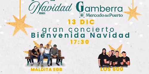 Gran Concierto de Bienvenida a la Navidad