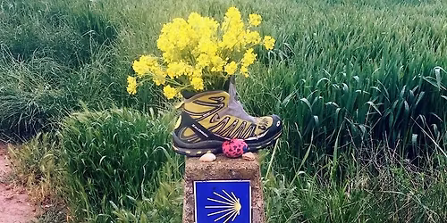 Caminho Portugu\u00eas da Costa Etapa 6 - Caminha \/ S. Pedro Torre 