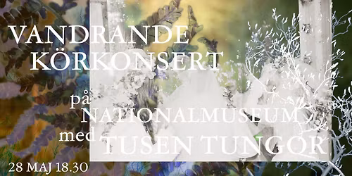 Tusen Tungor intar Nationalmuseum