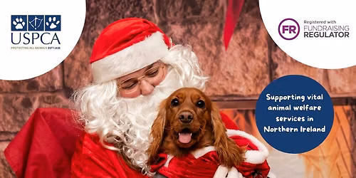 USPCA Santa Paws: Belfast 