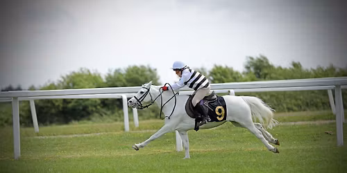 Pony Racing Day