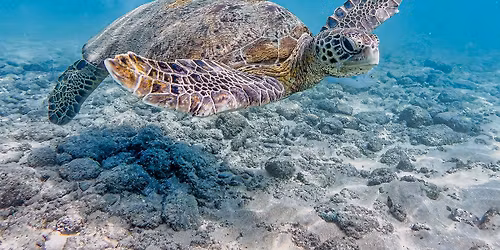 P\u0159\u00edli\u0161 k\u0159ehk\u00e9 krun\u00fd\u0159e [DOTEKY PLANETY #04]