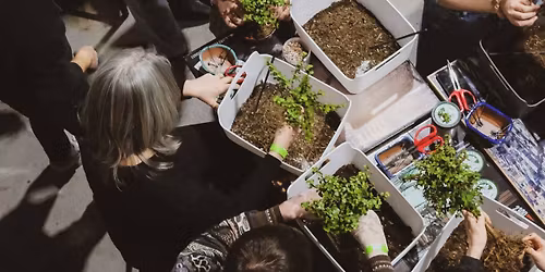 Bonsai Bar Workshop at Lost City Brewing