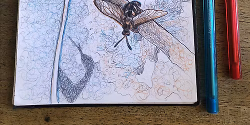 Field Sketching with Color