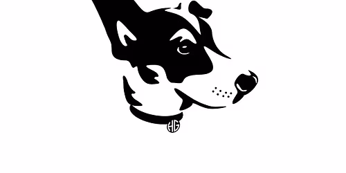 Synapse Hub 103 @ House of Gino