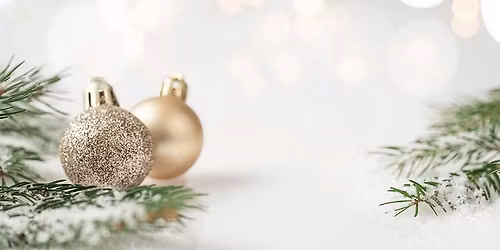 Schuetzen Park Place - Holiday Lights and Delights