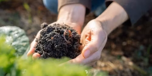 Kompost og jordhelse: n\u00f8kkelen til bedre avling