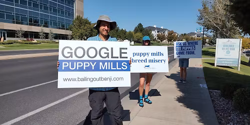 The Puppy Store Protest