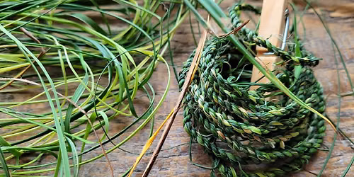 Deep Rooted Workshop: Plant Fibers