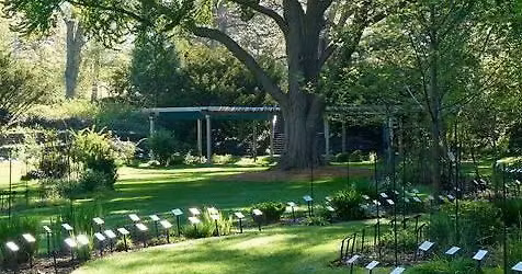 Garden Edition: Deep-Rooted with Beal Botanical Garden