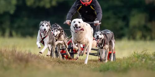 championnat de france terre FFPTC