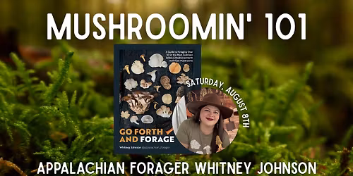 Mushroomin' 101