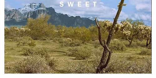 Sweet Sweet at Chimichanga Llama!