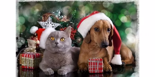 MARCHE DE NO\u00cbL A CIPLY 