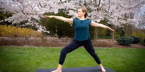Yoga in the Gardens