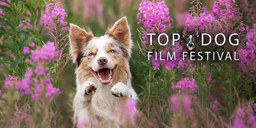 Top Dog Film Festival - Broome Fri 13 Mar 7pm