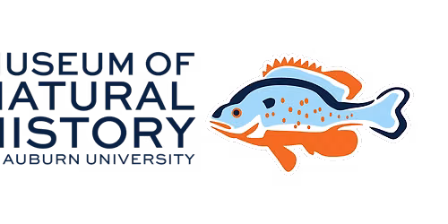 AUMNH Tours - Family Weekend