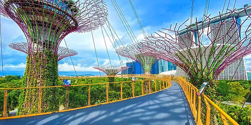 Journey to Joy: A Mental Wellness Walk