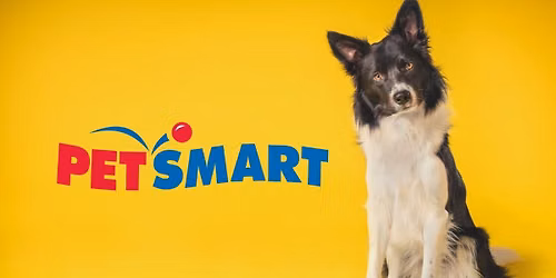 PetSmart Adoption Event at Montgomery Plaza (Weekly on Wednesdays