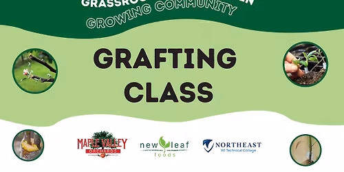 Grafting Class - Grassroots in the Garden: Growing Community
