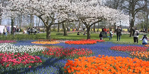 U\u00e7akl\u0131 B\u00fcy\u00fcleyici Hollanda Turu (Amsterdam-Lale Bah\u00e7eleri-Masals\u0131 Kasabalar), 28 Nisan - 1 May\u0131s