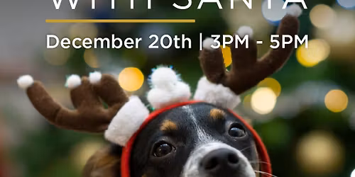 Pet Photos with Santa