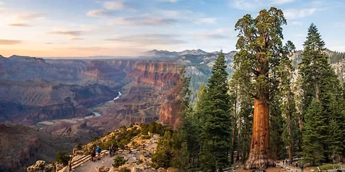 Grand canyon, Death Valley, Sequoia trip (5d)