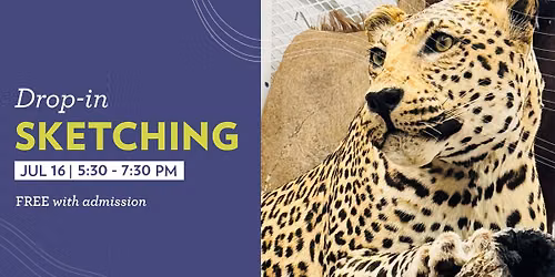 Drop-In Sketching: Drop-in Sketching: Exotic Animals from Africa and Asia