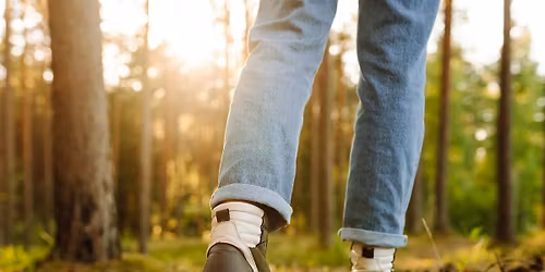 Compassion Focused Forest Bathing