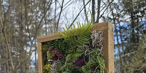 Moss Art Workshop