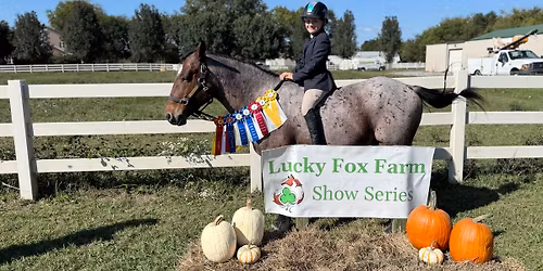 Lucky Fox Farm Show Series