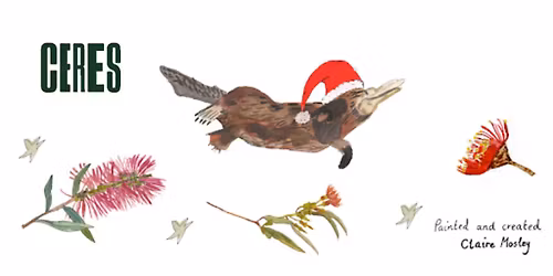 CERES Joe's Market Garden Christmas Market