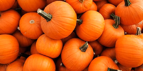 Pittsburgh Center for Creative Reuse presents DIY Pumpkin Creature Workshop