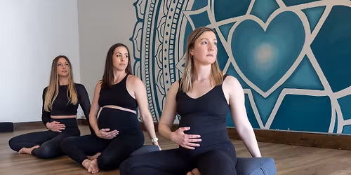 BirthFit: Pre-Postnatal Strength and Fitness