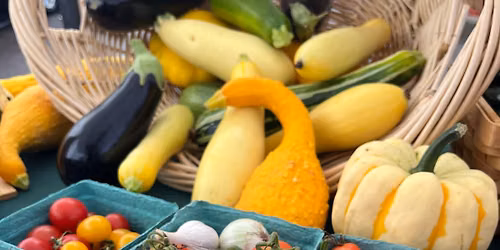 Harvest Potluck at the Farm